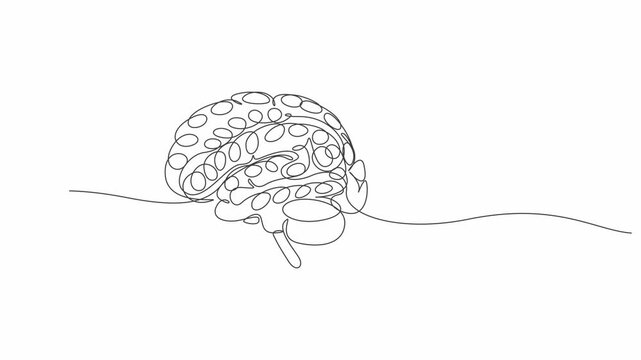 human brain anatomy, Human Brain One-Line Art Animation, Minimalist Brain Line Art Animation