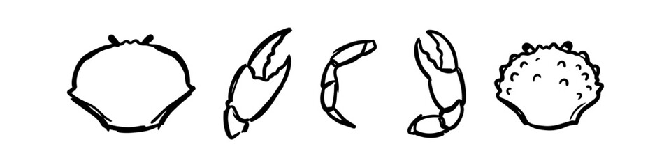 Hand-drawn sketches of crab parts including shells, claws, and legs. Minimalist black line art doodles of seafood elements isolated on a white background, perfect for nautical and menu designs. © Nort Kor