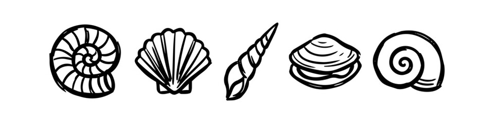 Hand-drawn sea shell collection in a minimalist black line art style. Set of five different seashell doodles including scallop, nautilus, and conch icons for summer beach designs. © Nort Kor