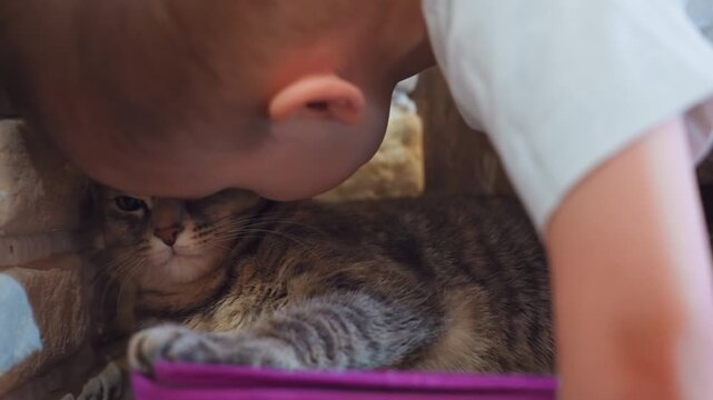 White son approaching wary tabby cat, closeup of cat resting by brick wall, child leans in while cat watches with alert eyes, tense but calm domestic moment, subtle boundary setting, intimate