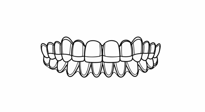 Stylized line art depicts a full set of upper and lower teeth with subtle shading
