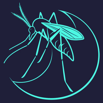 Mosquito insect illustration in bright cyan on dark blue background, stylized outline, elegant minimalist design, symbolic representation of pest or disease vector, simple graphic icon.