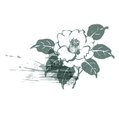 camellia abstract brush japanese chinese vector ink traditional asian design isolated © CharlieNati