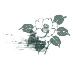 camellia abstract brush japanese chinese vector ink traditional asian design isolated © CharlieNati