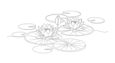 Water lilies and lily pads on water line art lily pad black and white serenity illustration © Line Galaxy