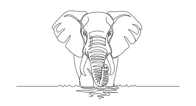 Line drawing of an elephant standing in water with line art white background gentle giant