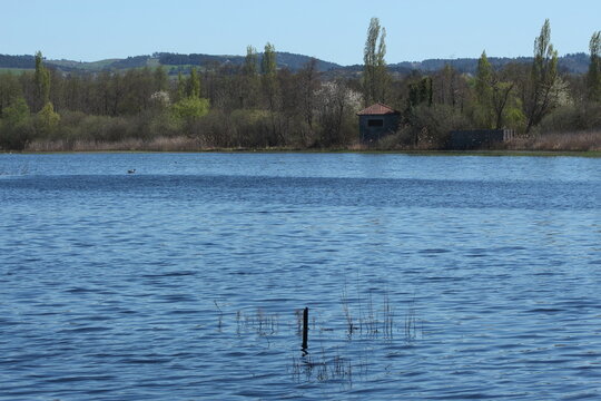 Etang David avril 26