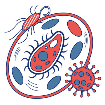 Amoeba organism interact with virus and parasite cells showcasing microscopic biological diversity for scientific publication and classroom education.