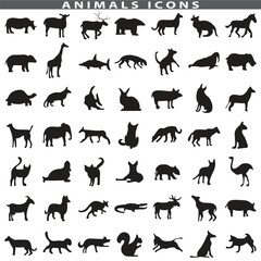 Fototapeta premium Animal silhouette collection. Set of black animal silhouette. Animal icons. Mammal, fish, insects, birds, reptiles silhouette collection. Wild, domestic animals icons