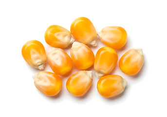 Fototapeta premium Pile of dried corn kernels on a white background with food industry