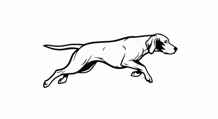 Fototapeta premium Sleek canine in mid-stride, showcasing its muscular form and elegant movement