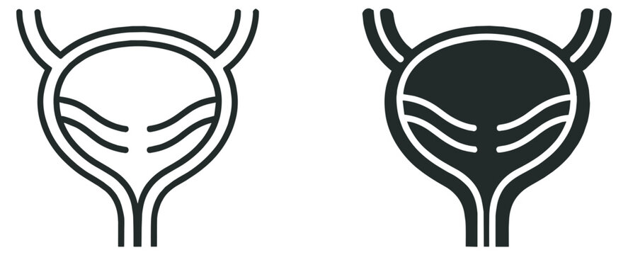 human urinary bladder anatomy icon, organ vector illustration, medical healthcare and urology system symbol isolated on transparent background