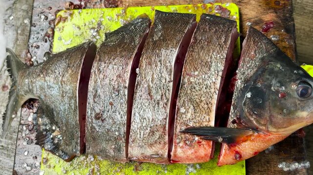 Detailed image of freshwater pomfret fish cut into pieces for cooking. The process of preparing freshwater fish food.