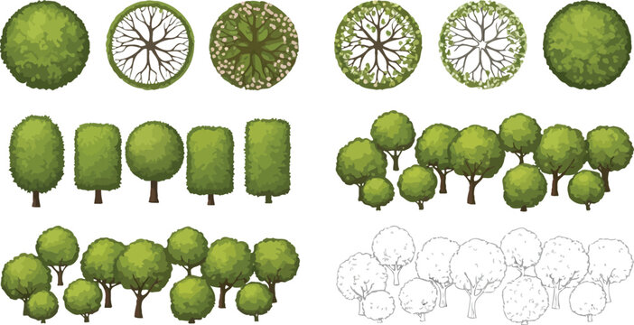 A comprehensive set of vector tree illustrations for landscape architecture, featuring top-down plan views, side elevations, and diverse shapes for design projects.