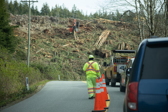 Road Traffic Control Near Clear Cut Logging Area on Vancouver Island