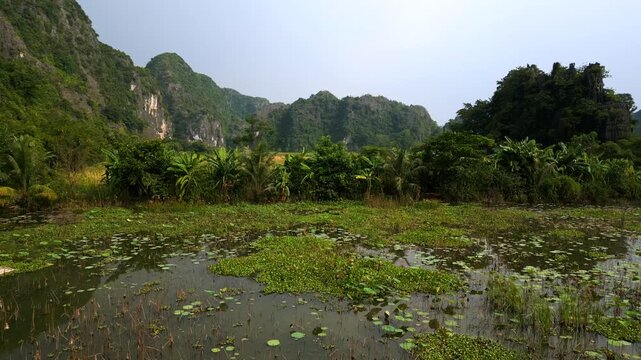 Aerial footage flying over the stunning limestone karst formations, lush green rice paddies, and winding rivers of Tam Coc