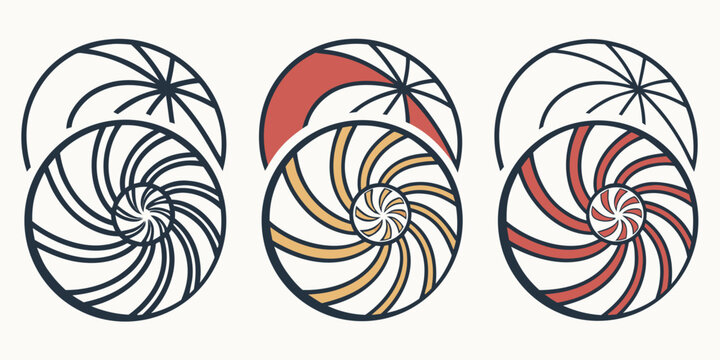Three nautilus shell inspired geometric spiral patterns with outline and color variations golden ratio nautilus geometric variation fibonacci illustration