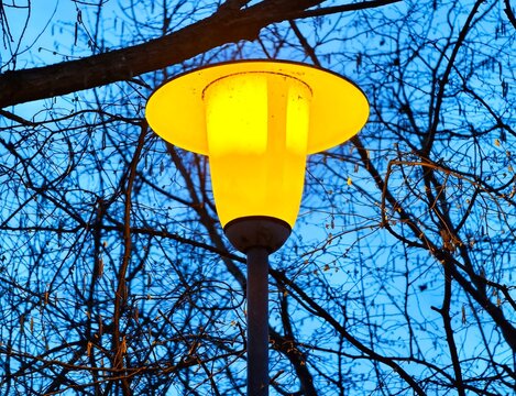 Closeup of vintage yellow lantern glowing softly under intertwined branches and urban twilight