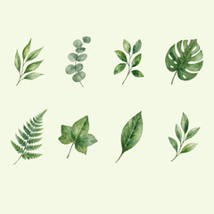 watercolor greenery set with botanical leaves set and watercolor leaves collection, green leaves set in soft watercolor style, botanical elements including eucalyptus, monstera © Natalia