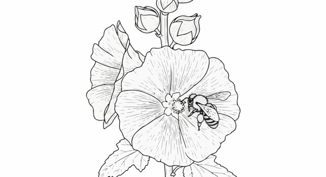 Delicate line drawing of a bee collecting nectar from a large hollyhock flower