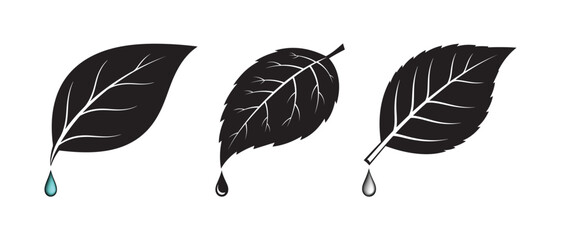 Three black leaf icons with water drops hydration freshness moisture illustration silhouette vegetation environment © Mizanur Rahman
