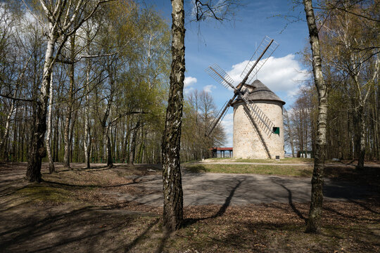Historic stone windmill of Dutch type standing in a birch forest clearing under a bright blue sky, Holic, Slovakia