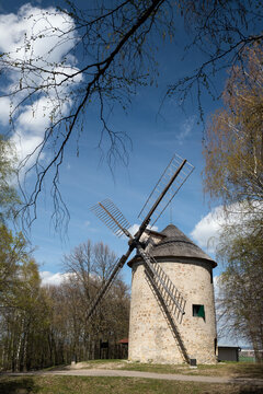 Historic stone windmill of Dutch type standing in a birch forest clearing under a bright blue sky, Holic, Slovakia