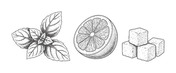 Hand drawn mint leaves lemon slice and sugar cubes © Md