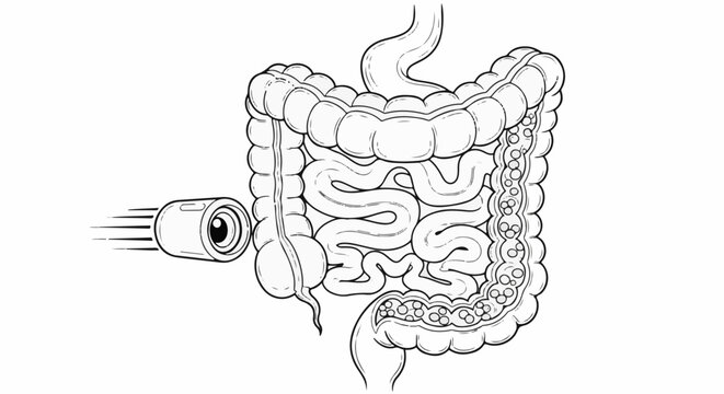 Medical capsule with camera enters the digestive system for examination