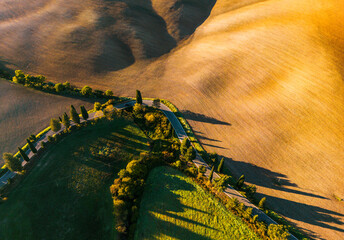 Obraz premium Tuscan hills with winding road and cypress trees at sunrise, Monticchiello, Italy.