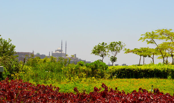 Scenic view of the historic Mosque of Muhammad Ali at the Saladin Citadel framed by colorful lush gardens in Cairo, Egypt