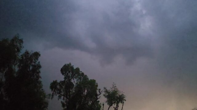 Dramatic lightening & thunder clouds loom over silhouetted trees as the sky transitions from dark to lighter shades of gray and blue