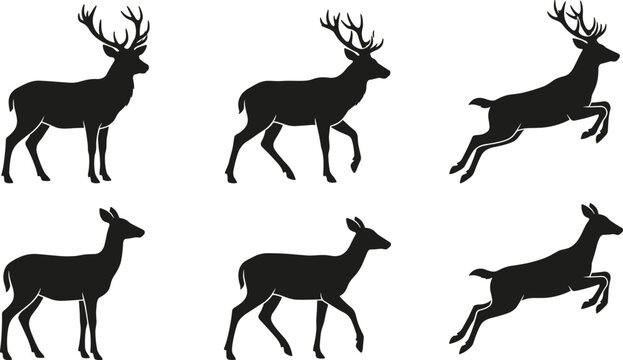 Black deer silhouettes set, standing and jumping stag and doe icons, collection of different reindeer poses on white background, vector