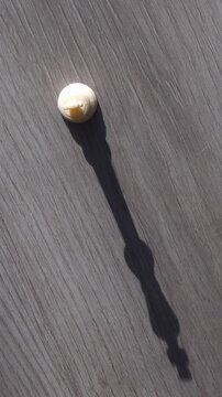 chess Pawn with a king shadow. symbolic metaphor for hidden potential