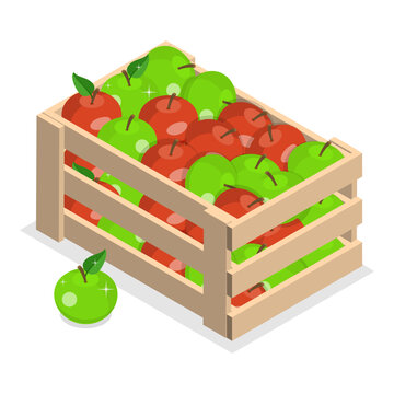 3D Isometric Flat Vector Illustration of Home Garden, Gardening Tools For Soil Preparation And Planting By People. Item 6