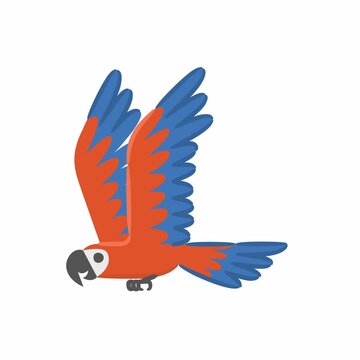 Animated cartoon parrot with blue orange wings flying, showing playful tropical bird motion and lively energy