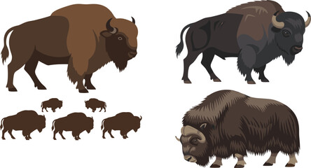 Fototapeta premium Bison and Yak Collection with Silhouettes and Detailed Variations Wild Mammal Flat Vector Illustrations for Wildlife, Nature and Animal Design Projects.
