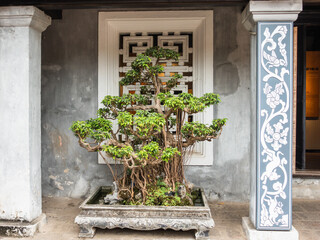 Traditional Vietnamese landmarks with intricate architecture, lush trees, and vibrant flowers....