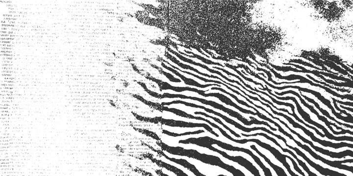 Black and white textured background with abstract text and zebra stripe pattern