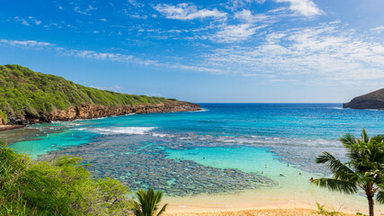 Snorkelers explore vibrant coral reefs at Hanauma Bay  © hong