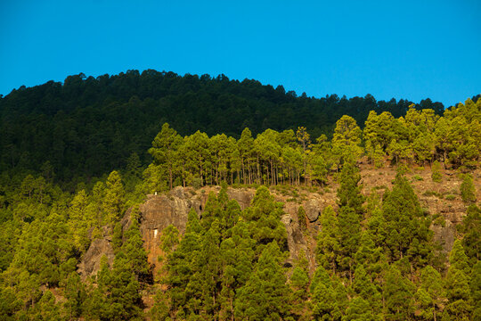 Paisaje de Tamadaba en la isla de de Gran Canaria, Espa&ntilde;a
