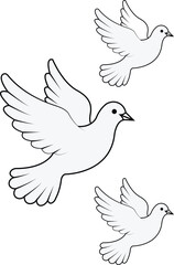 Obraz premium Flying Doves White bird Illustration Pigeon Outline Set 