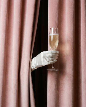 Luxury Celebration Concept: Elegant Hand in White Glove Holding Champagne Flute Through Pink Velvet Curtains