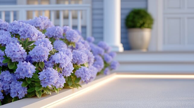 Purple hydrangeas bloom beside a softly lit pathway