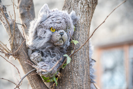 Graues Pl&uuml;schstofftier in Astgabel eines Baumes