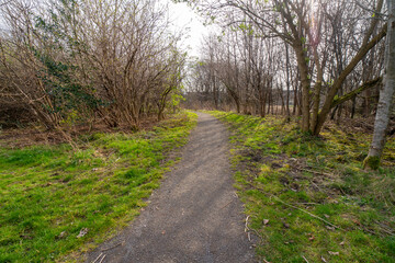 Fototapeta premium Cuningar Loop in Rutherglen is woodland park on the River Clyde, Scotland, UK featuring several easy, flat walking trails, including a popular boardwalk, a woodland meadow loop, and riverside paths. 