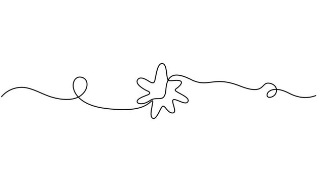 star continuous one line drawing animation, Self drawing animation of star icon in continuous line art style. Animated single line, One line Drawing or illustration of a star, Hand drawn star Video