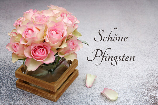Elegante Pfingstgr&uuml;&szlig;e: Vase mit rosa Rosen in einem  auf grauem Untergrund mit zwei Rosenbl&auml;ttern und dem Schriftzug 'Sch&ouml;ne Pfingsten'