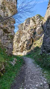Sendero rocoso y escarpado que asciende entre paredes de piedra caliza y &aacute;rboles de ramas desnudas. El camino natural gu&iacute;a la vista hacia un desfiladero iluminado por la luz del sol primaveral.