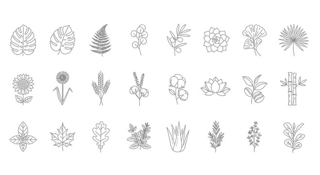 Collection of various plant and flower illustrations.